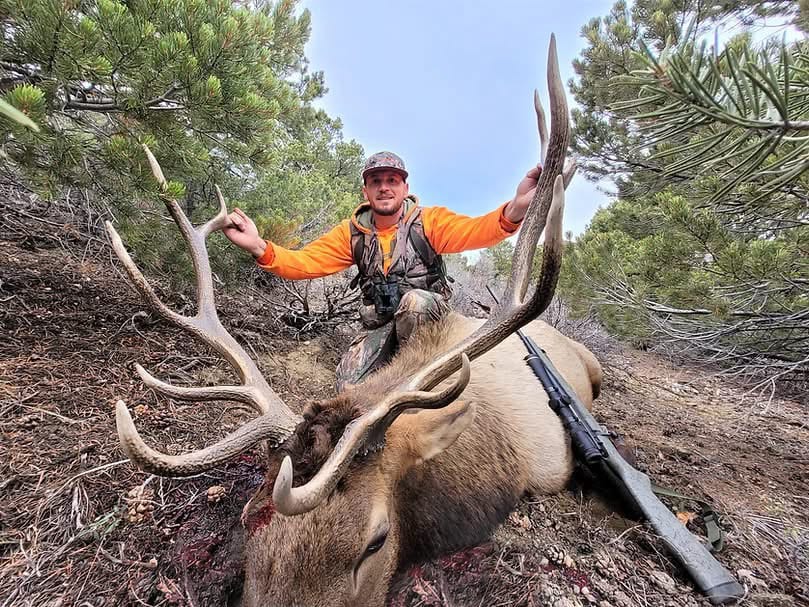 A hunter in an orange shirt and camouflage vest poses with a large harvested elk in a wooded area, with a rifle lying next to the animal.