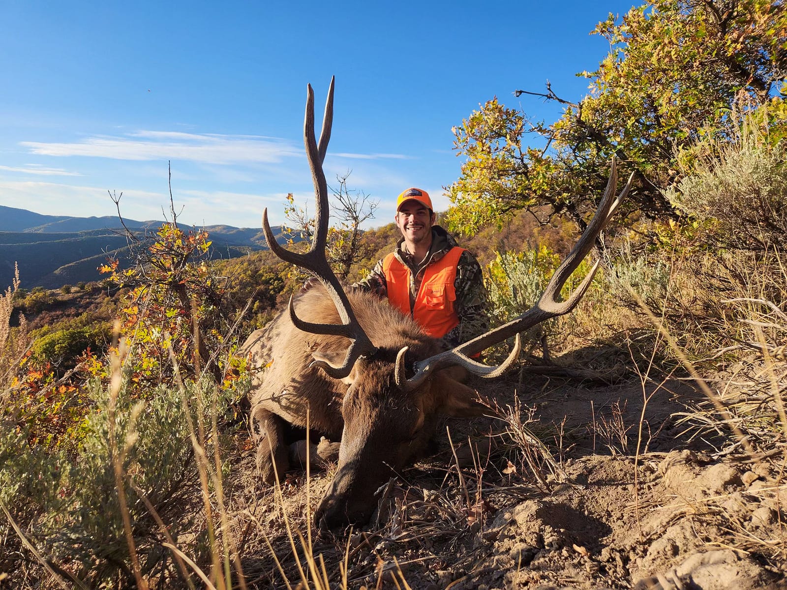 trophy elk hunting Colorado private land