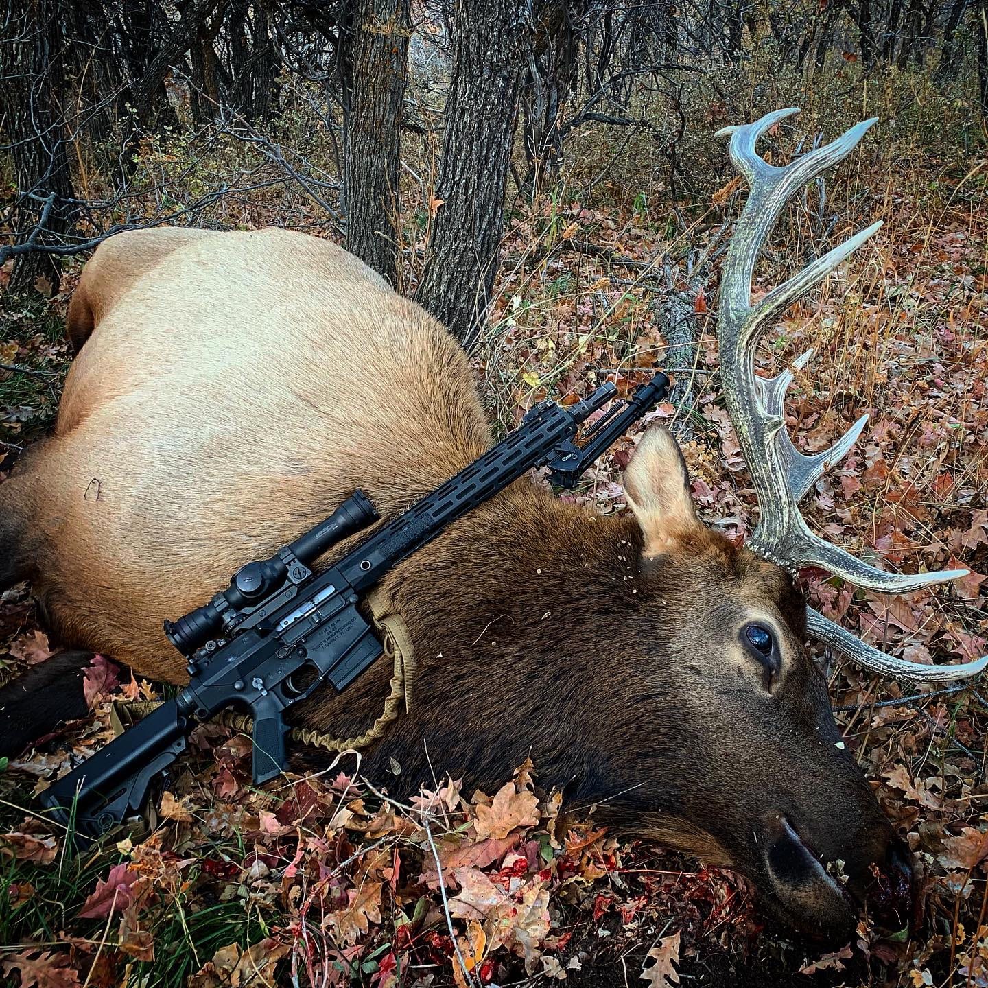 2019 First Season Rifle Bull Elk