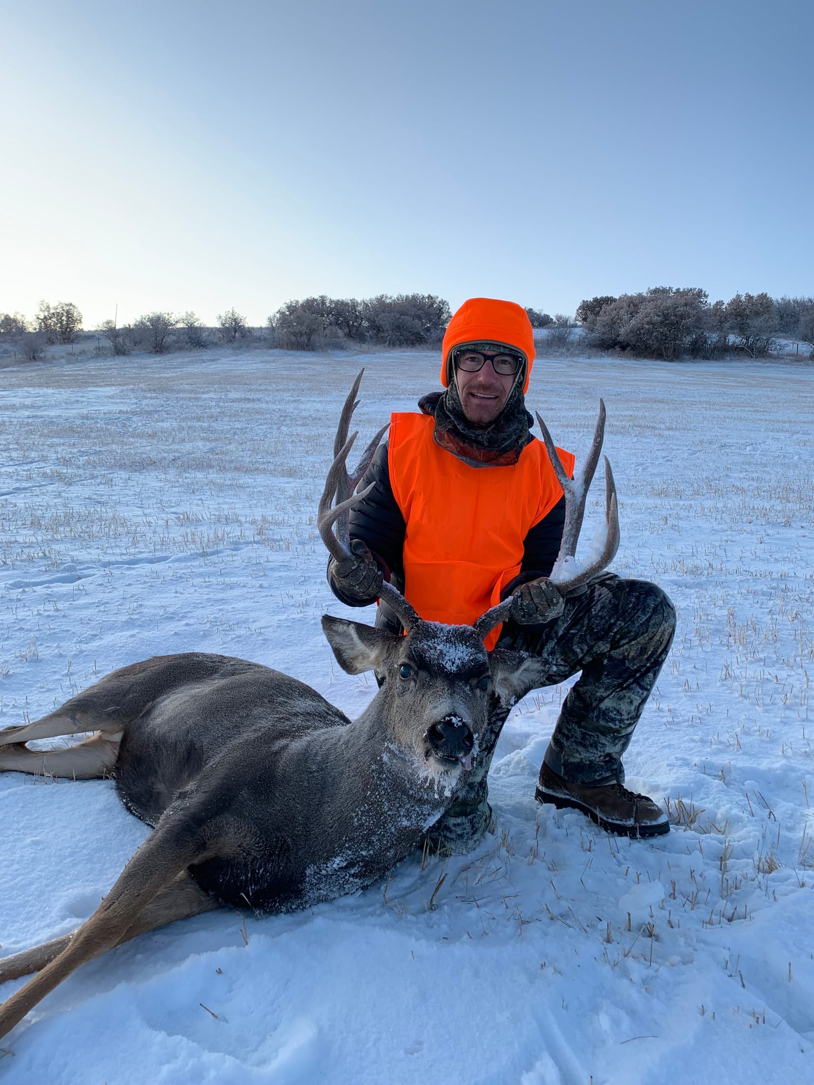 2019 Mule Deer Buck