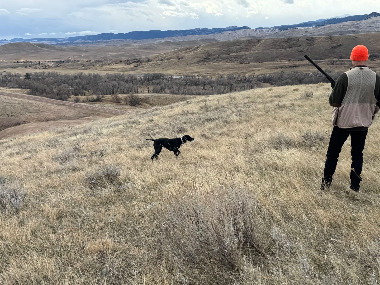 Chukar Hunt: 10 Birds