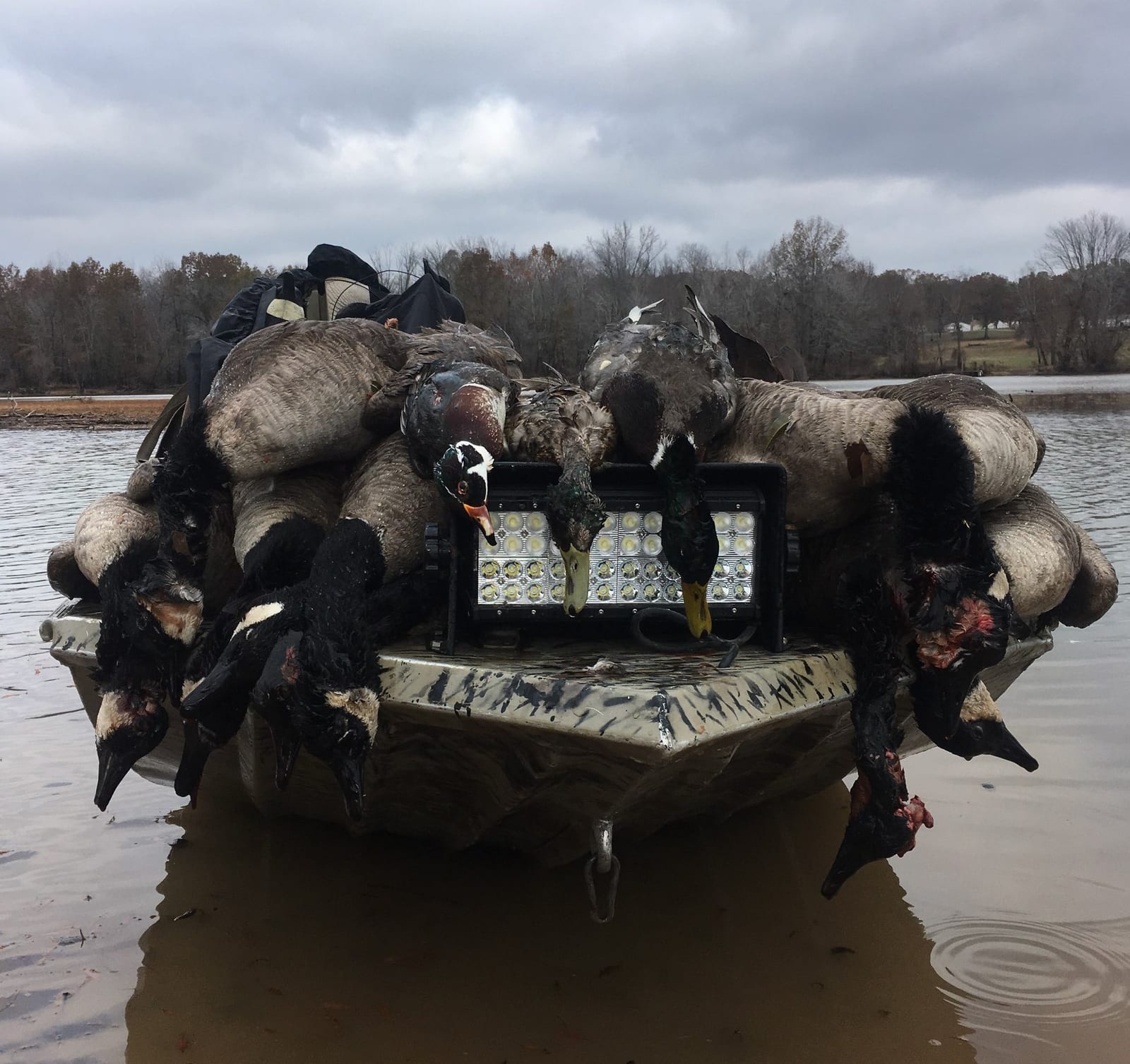 A boat full of harvested ducks and geese on a body of water under an overcast sky.