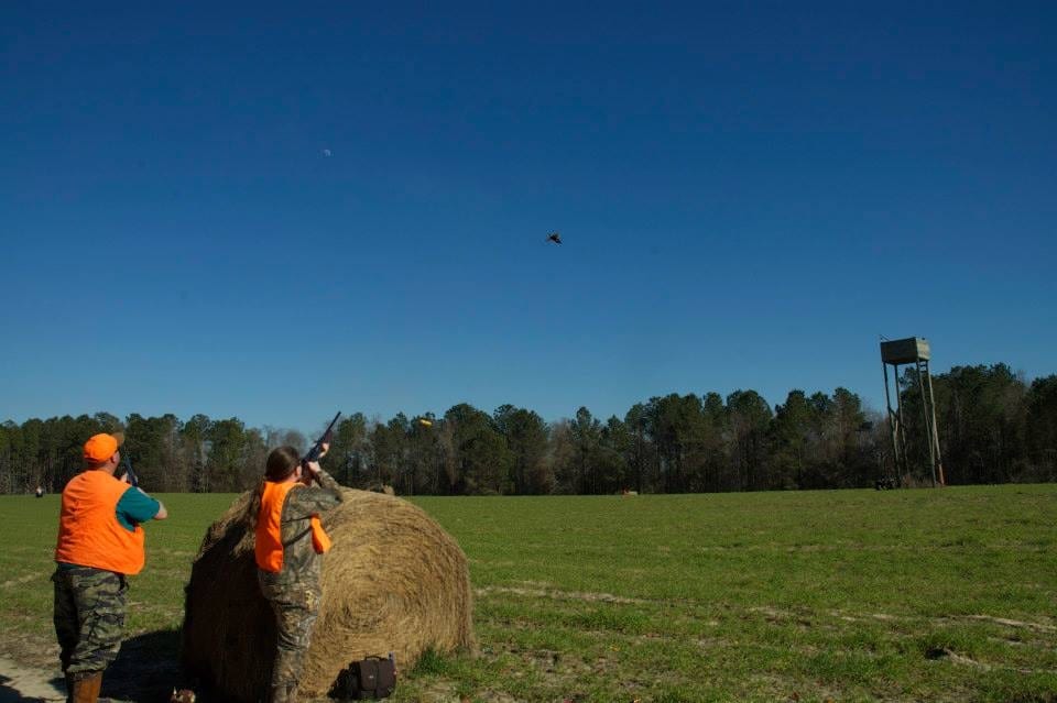 Quail Hunting