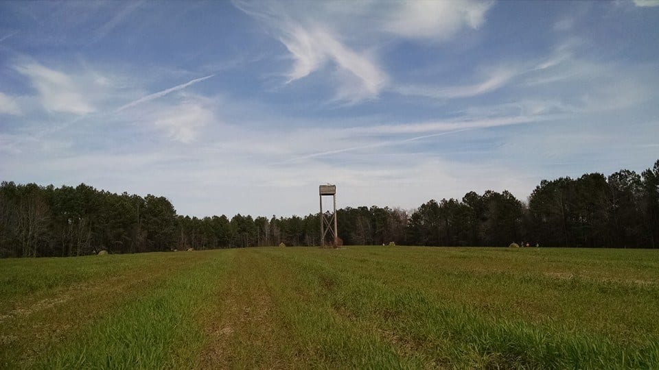 Pheasant Hunts