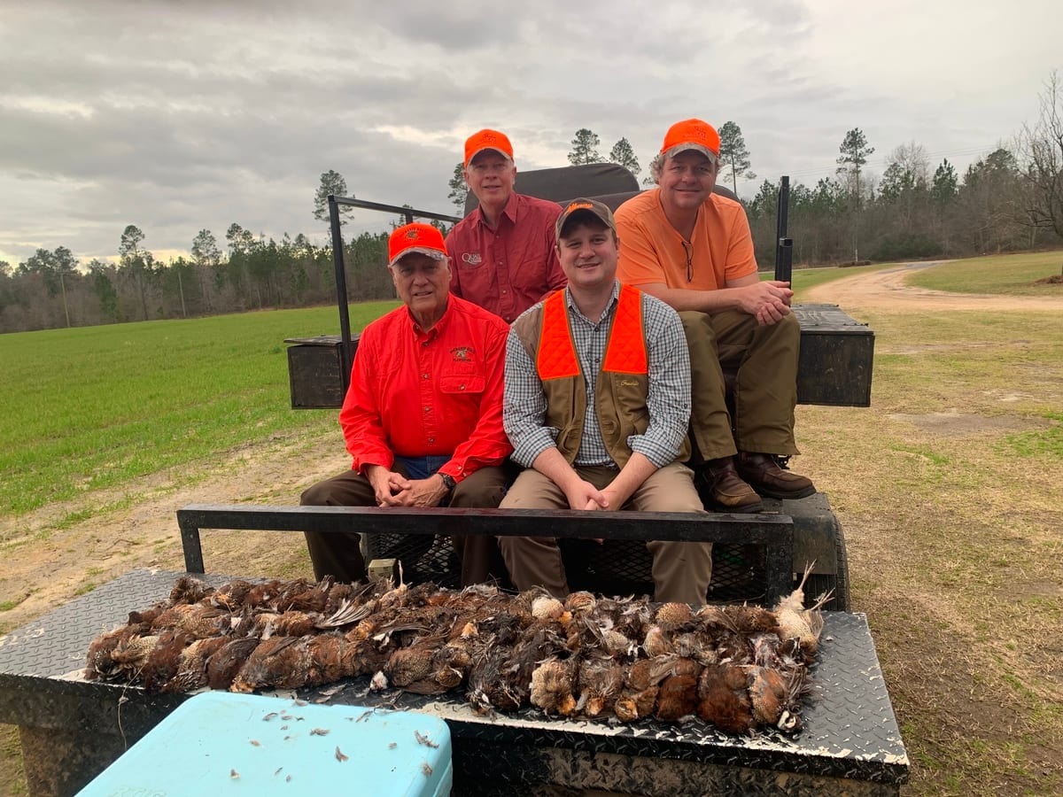 Quail Hunting