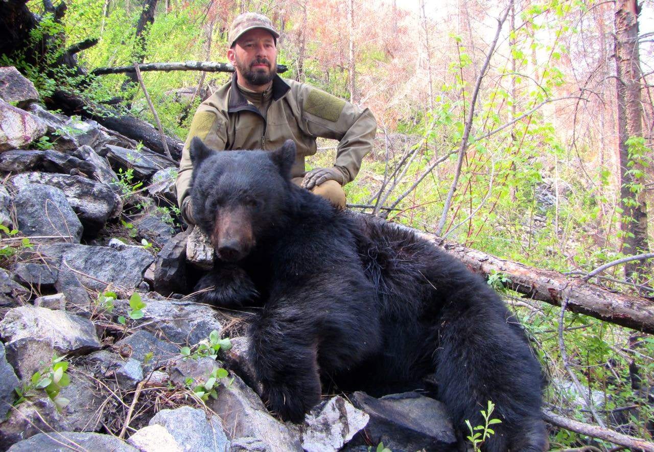 Rob Bear 1