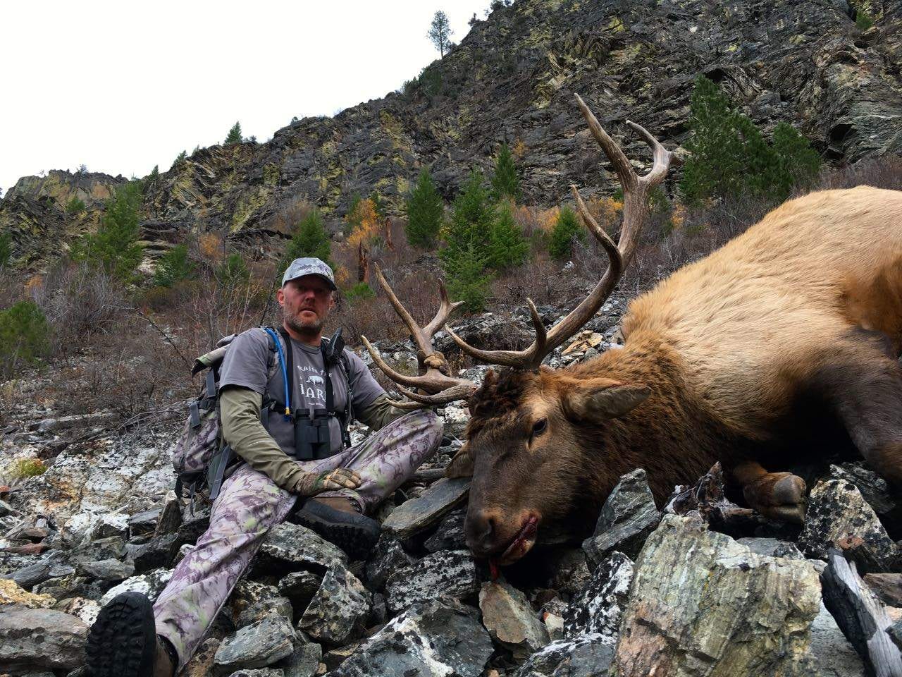A hunter sits next to a harvested elk on a rocky hillside.