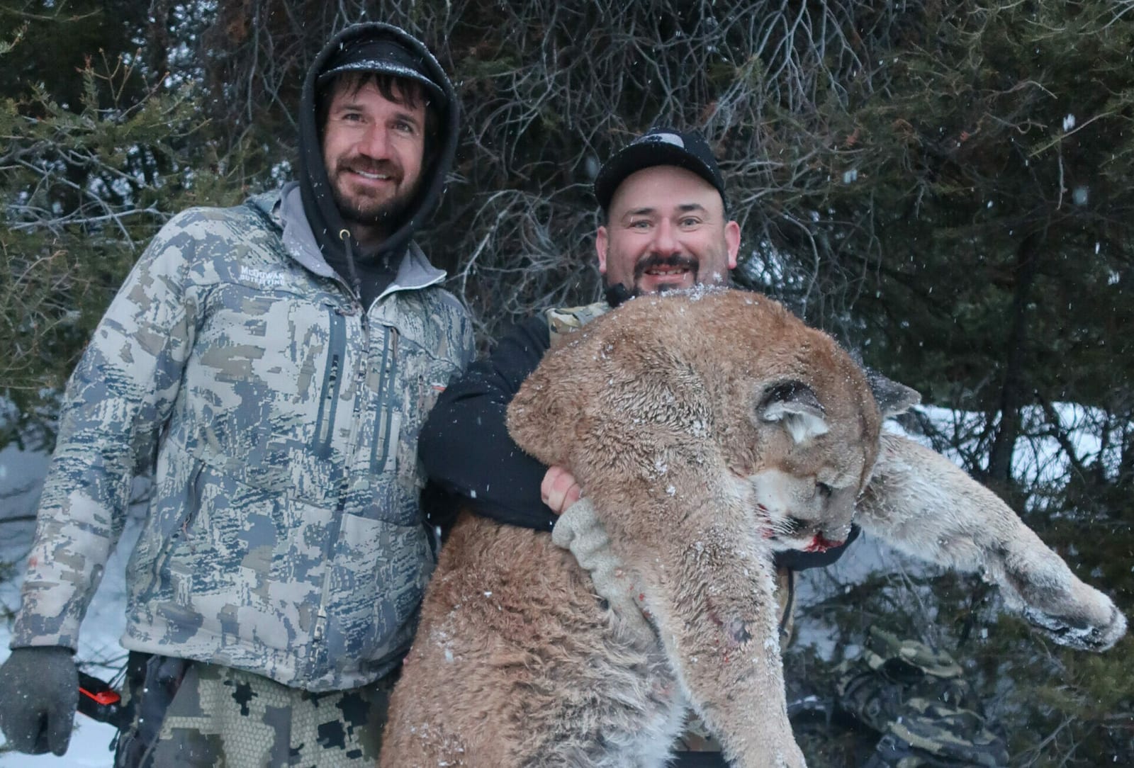 Mountain Lion Hunting