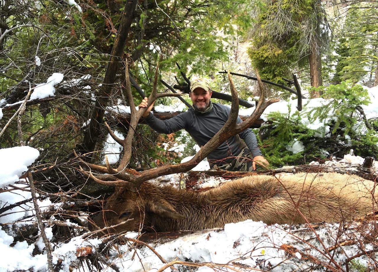 A hunter poses with a harvested elk in a snowy, wooded area.