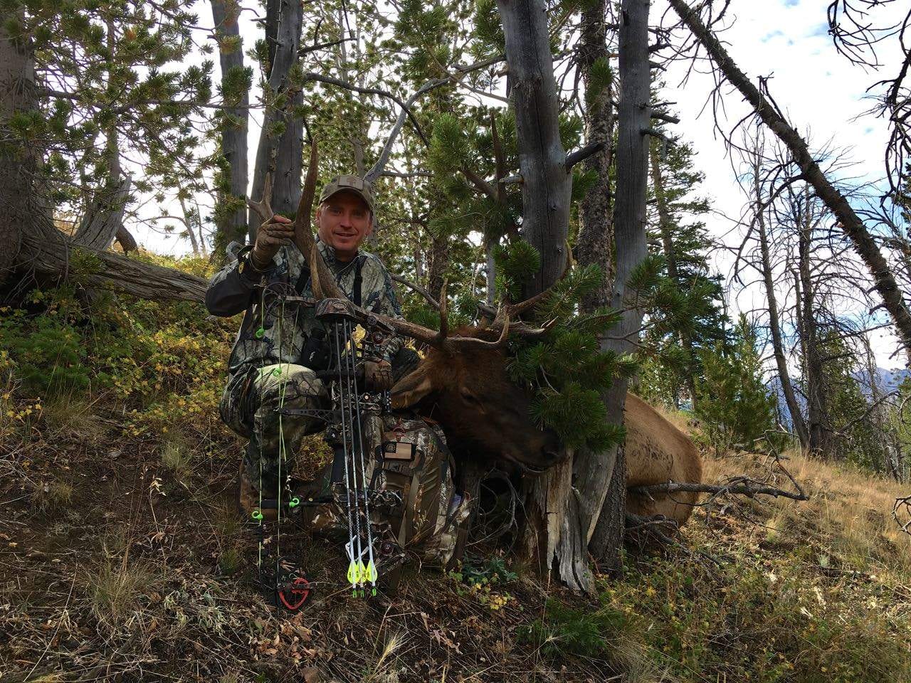 A hunter in camouflage poses with a harvested elk and a bow in a wooded area.