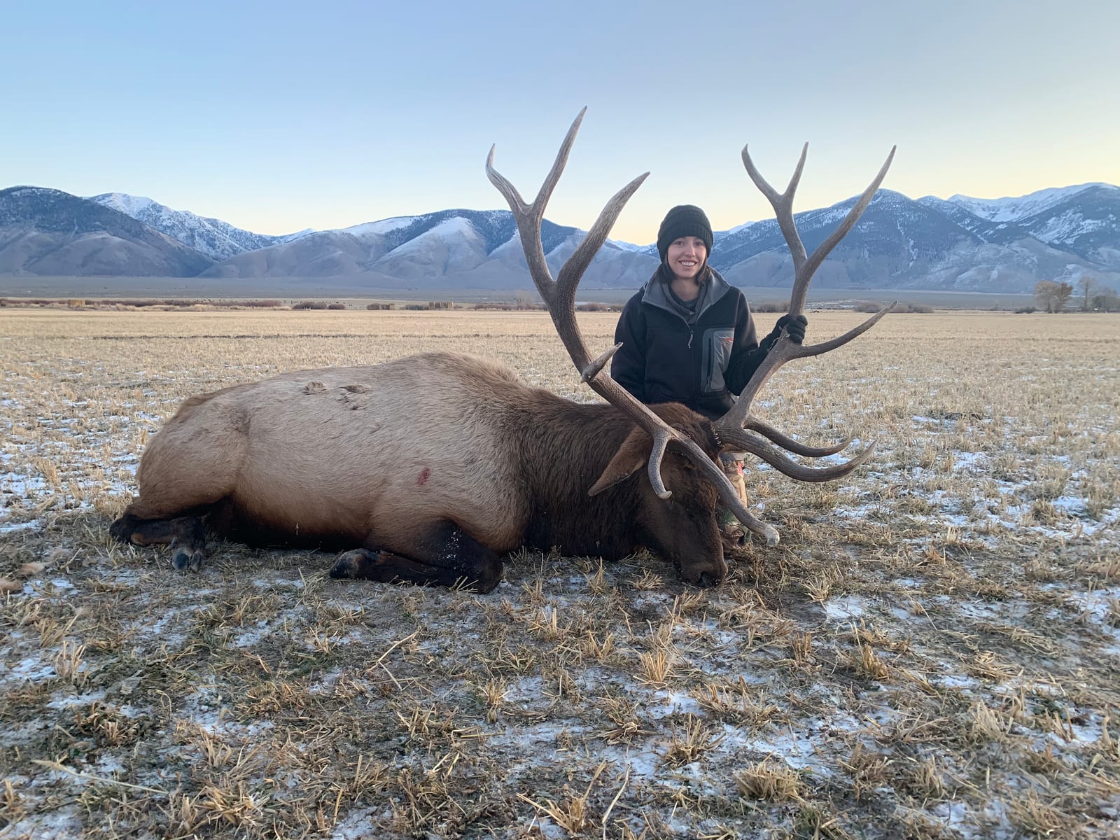 A hunter poses with a harvested elk in a snowy field with mountains in the background.