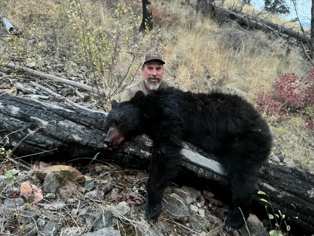 A hunter poses with a harvested black bear next to a fallen log in a wooded area.
