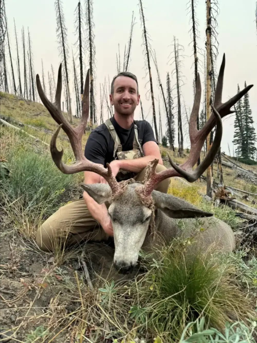 A man poses with a harvested mule deer in a mountainous area with many dead trees.
