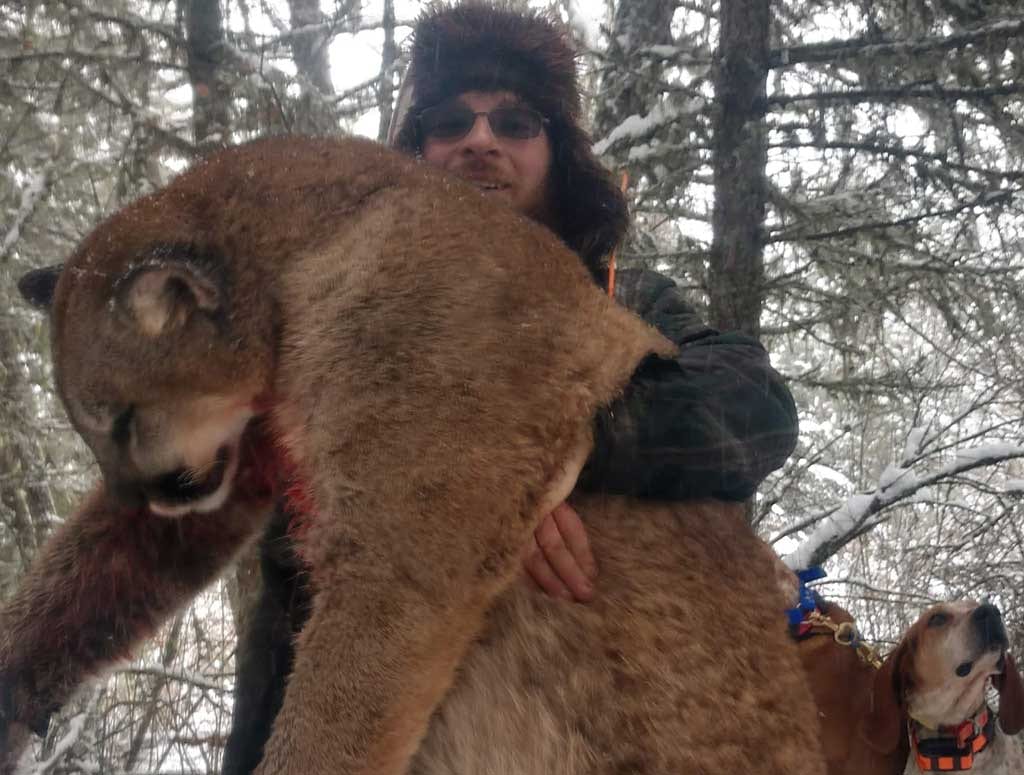 A hunter holds a harvested mountain lion in a snowy forest, with a hunting dog visible.