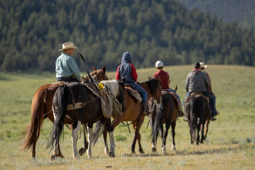 Located in historic Hinsdale County, Colorado, at 9200' elevation, Mineral Mountain Outfitters is surrounded by the Powderhorm and La Garita Wilderness Areas.  These wilderness areas are in Colorado's most pristine back country, and home to a diverse spectrum of wildlife species, including elk, mule