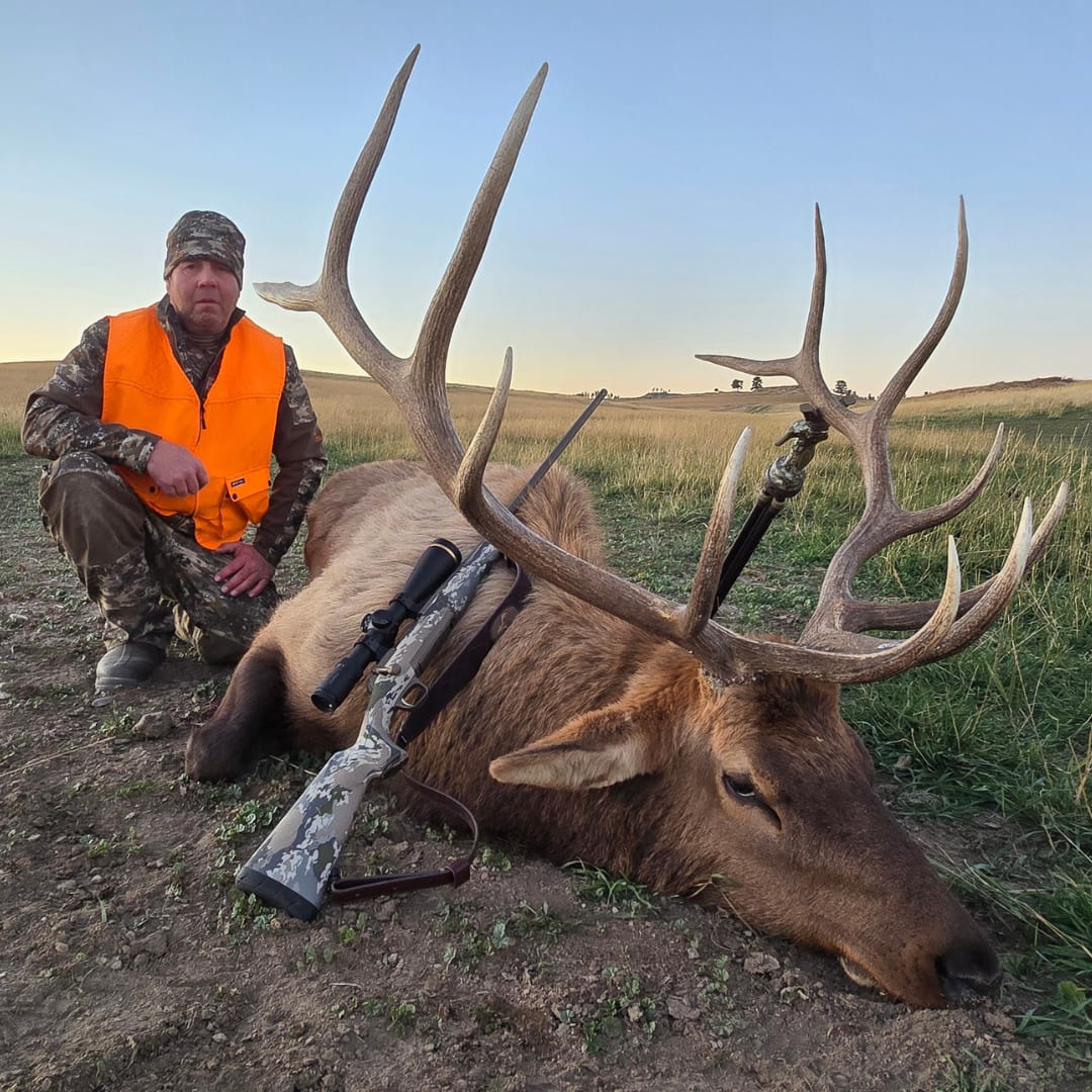 A hunter kneels next to a harvested elk with large antlers in a grassy field.