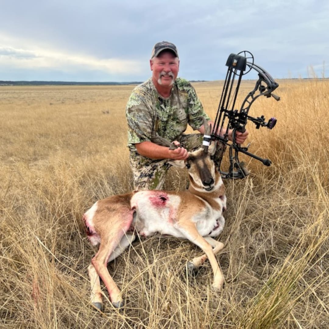 A hunter kneels in a field with a harvested pronghorn and a bow.