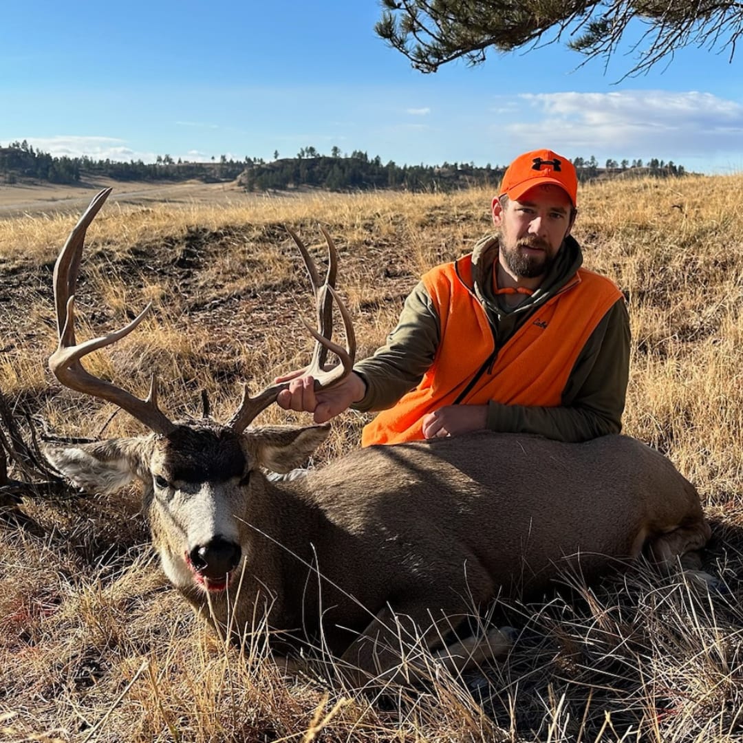 A hunter in an orange vest and hat poses with a harvested mule deer in a grassy field.