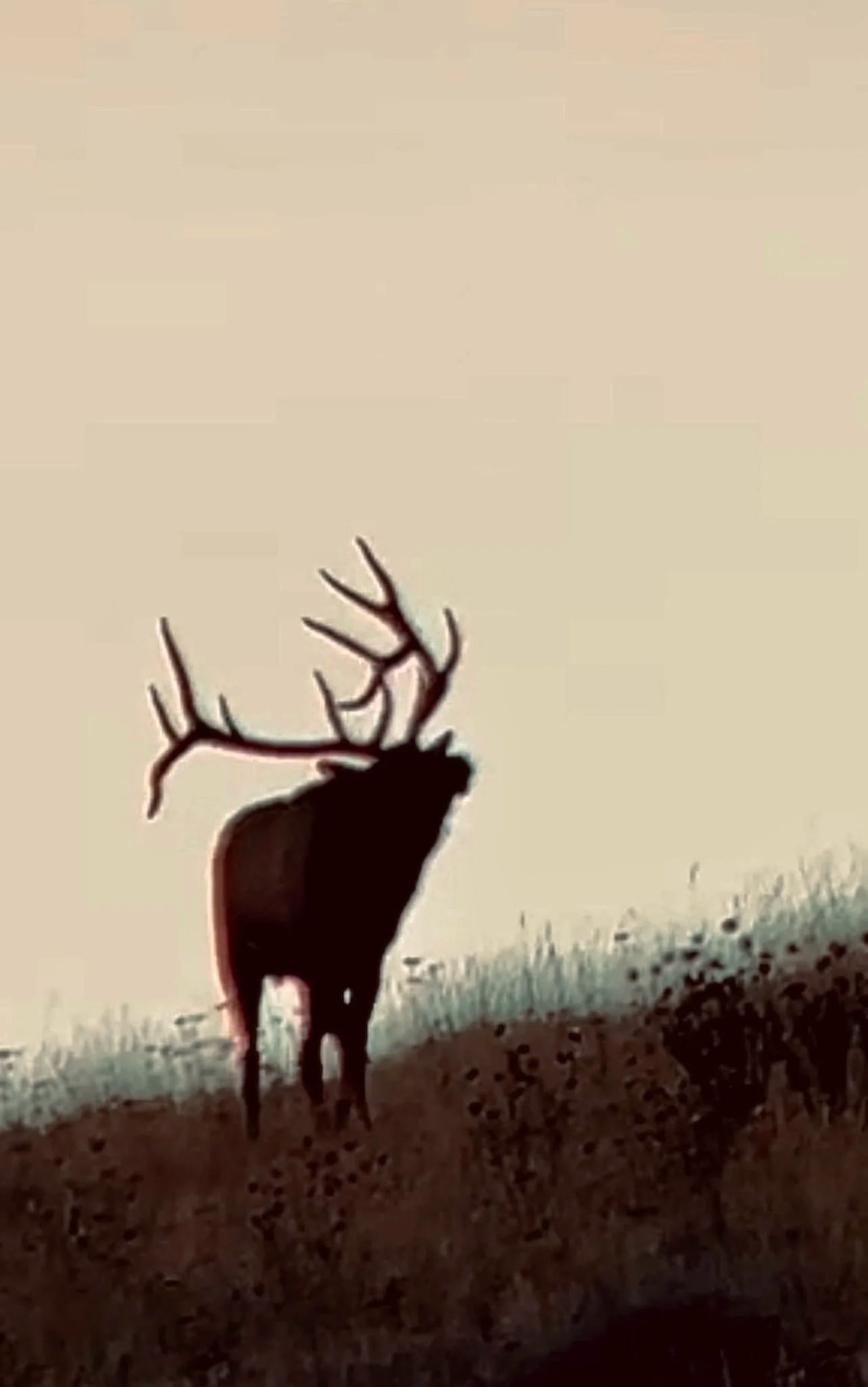 Hunt Deposit