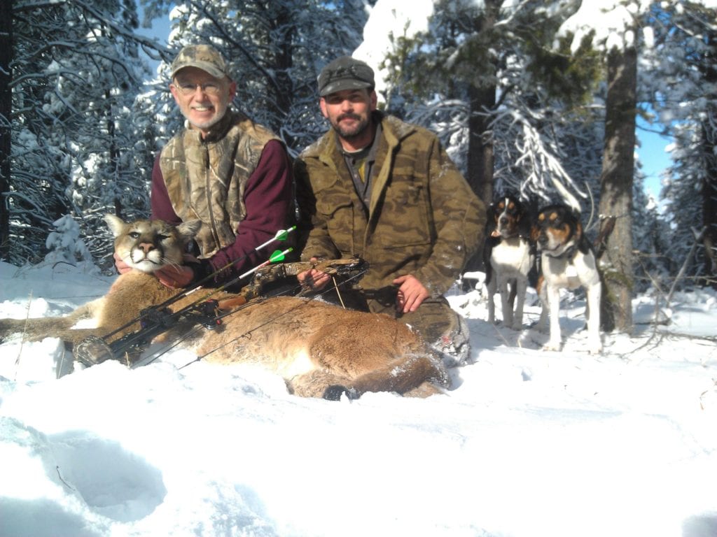 Archery Mountain Lion Hunting