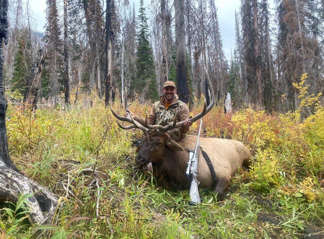 A man is standing next to a large elk in the woods.