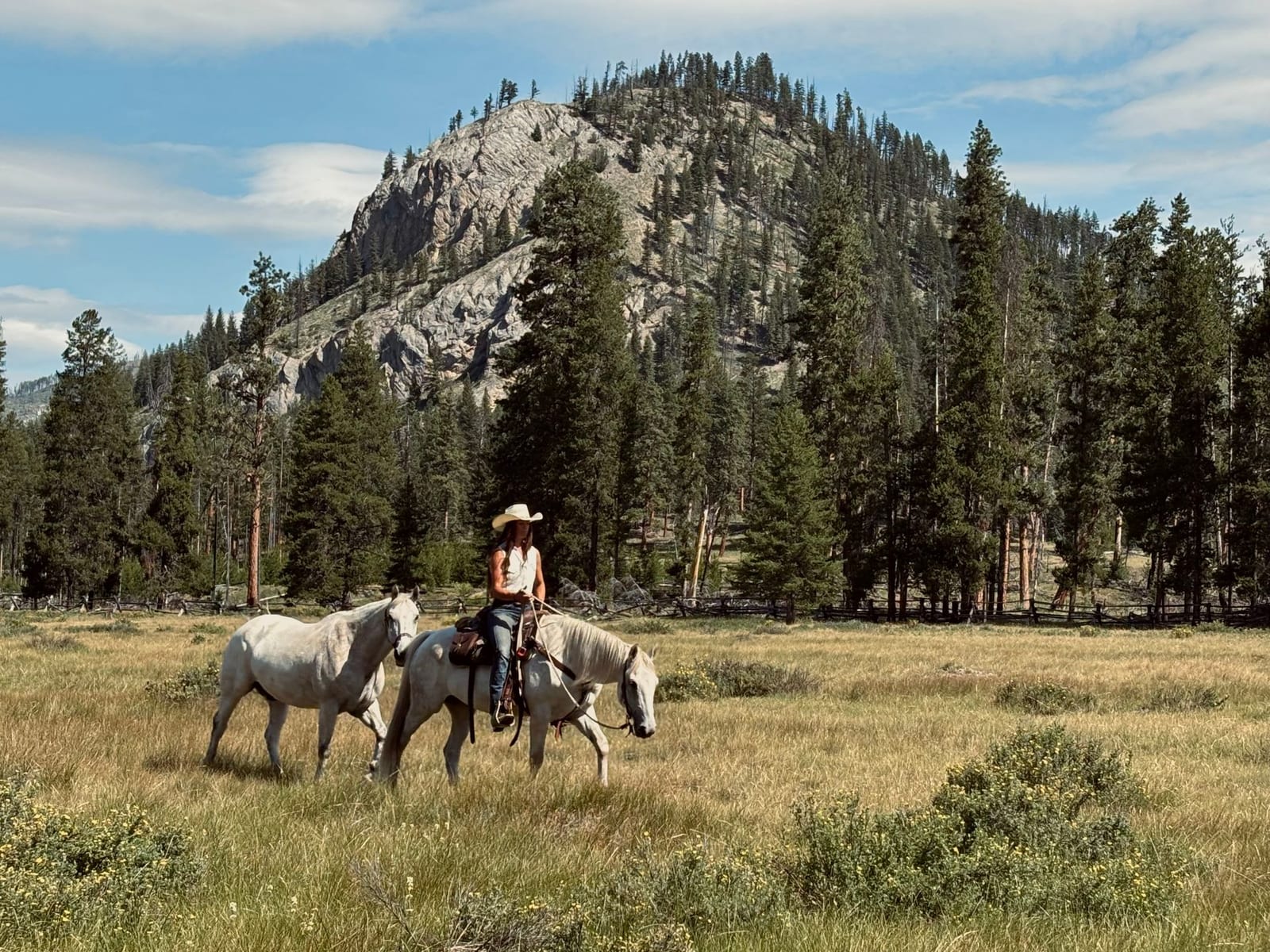 A person on horseback leads another horse through a grassy field with a large, rocky, forested mountain in the background.