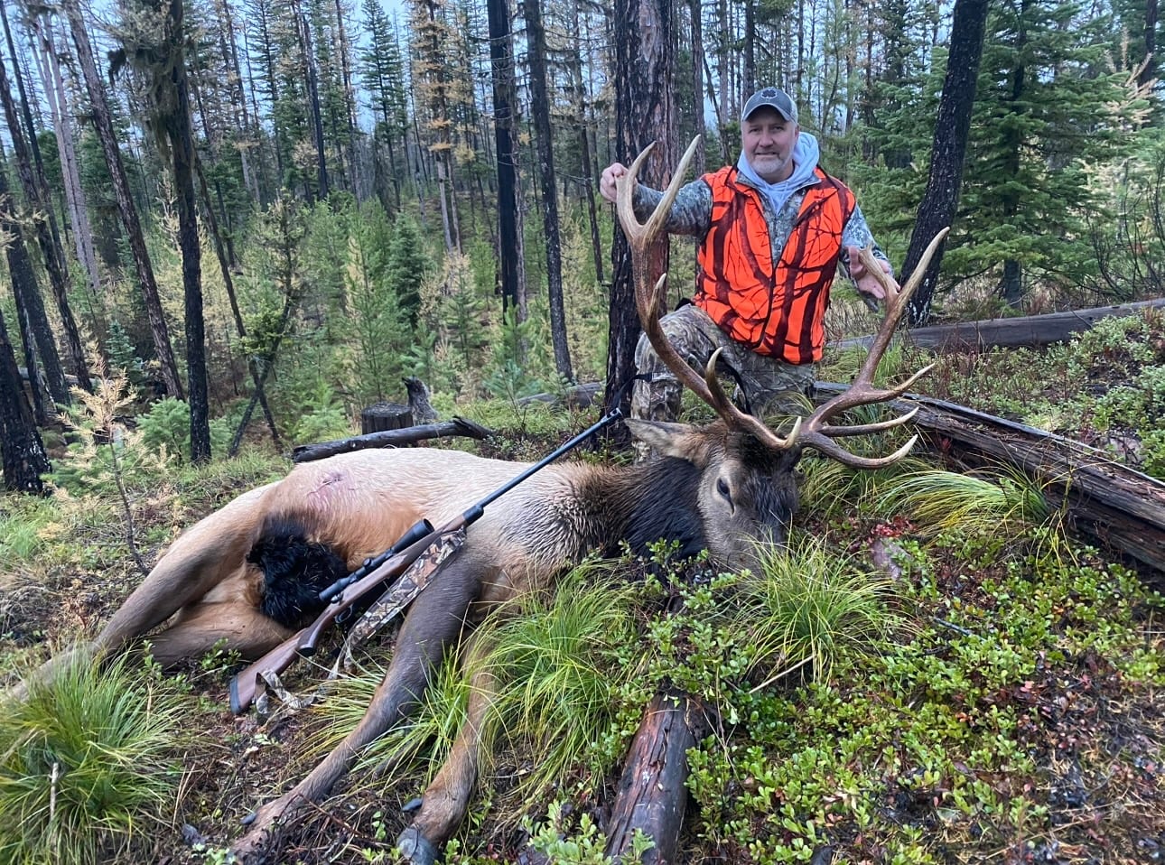 man posing with hunting weapon and a downed elk
