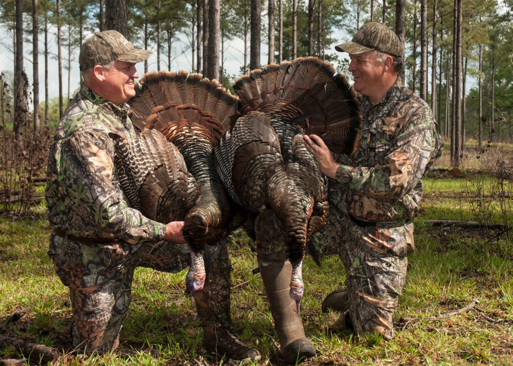 turkey hunting