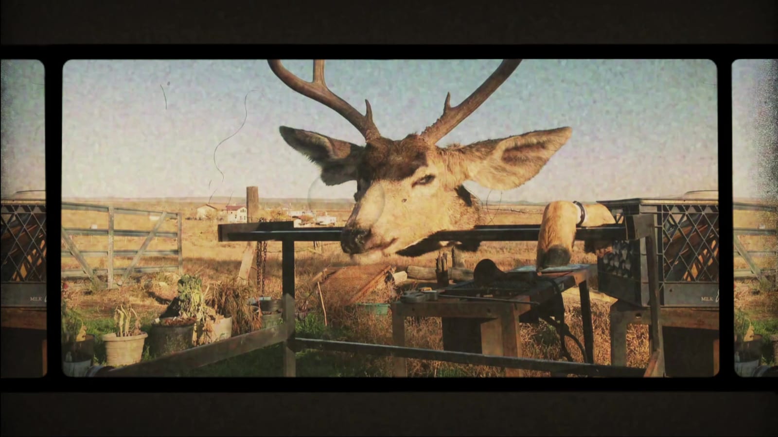 A taxidermy deer head is mounted on an outdoor stand in a rural, fenced area.