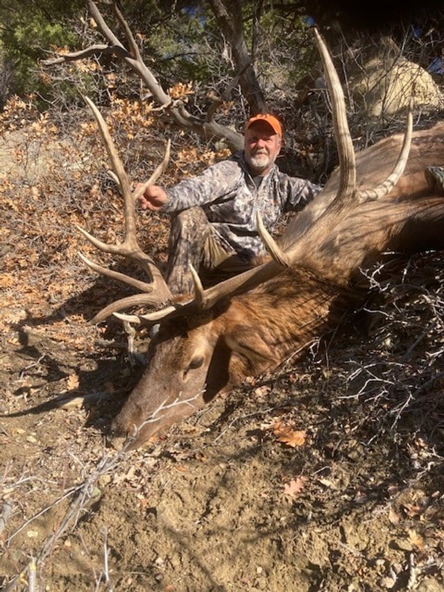 Elk Hunting in Colorado