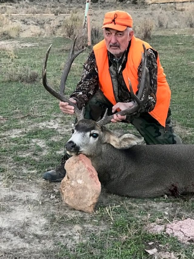 Mule Deer Hunting in Colorado