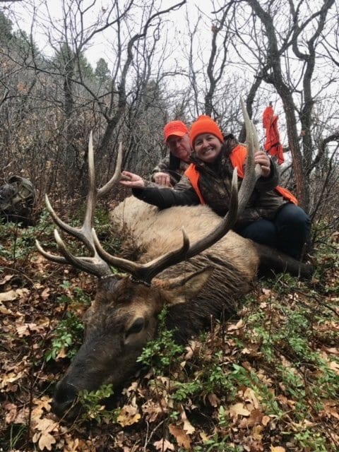 Guided Elk Hunting in Colorado