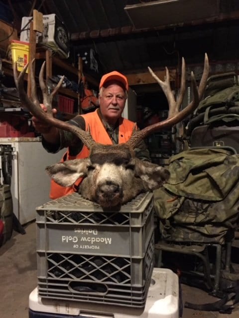 Mule Deer Hunting In Colorado