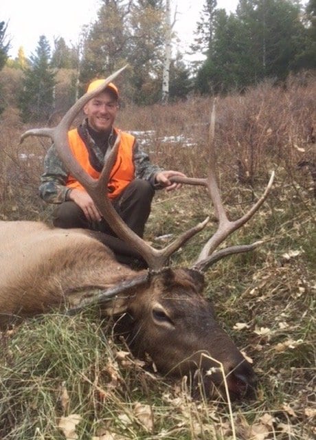 Elk Hunting in Colorado