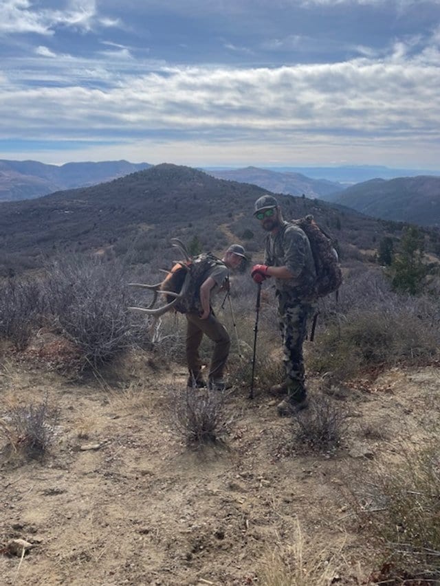 Why Colorado is the Ultimate State for Elk, Deer, and Bear Hunting