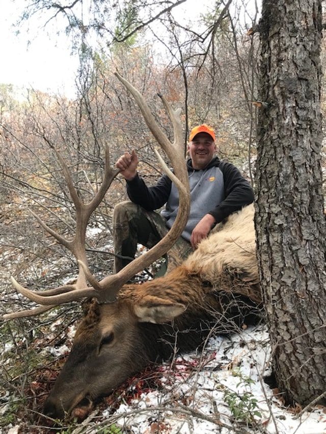 Elk Hunting in Colorado