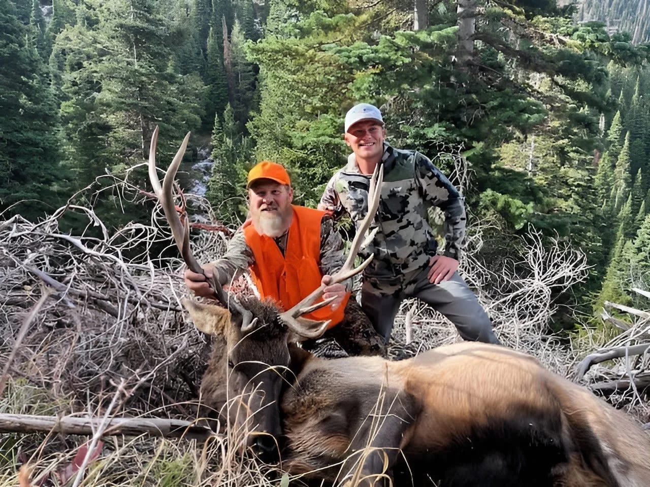 Two hunters pose with a harvested elk in a forest.