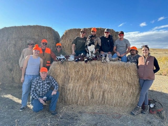 Pheasant Hunting In Colorado