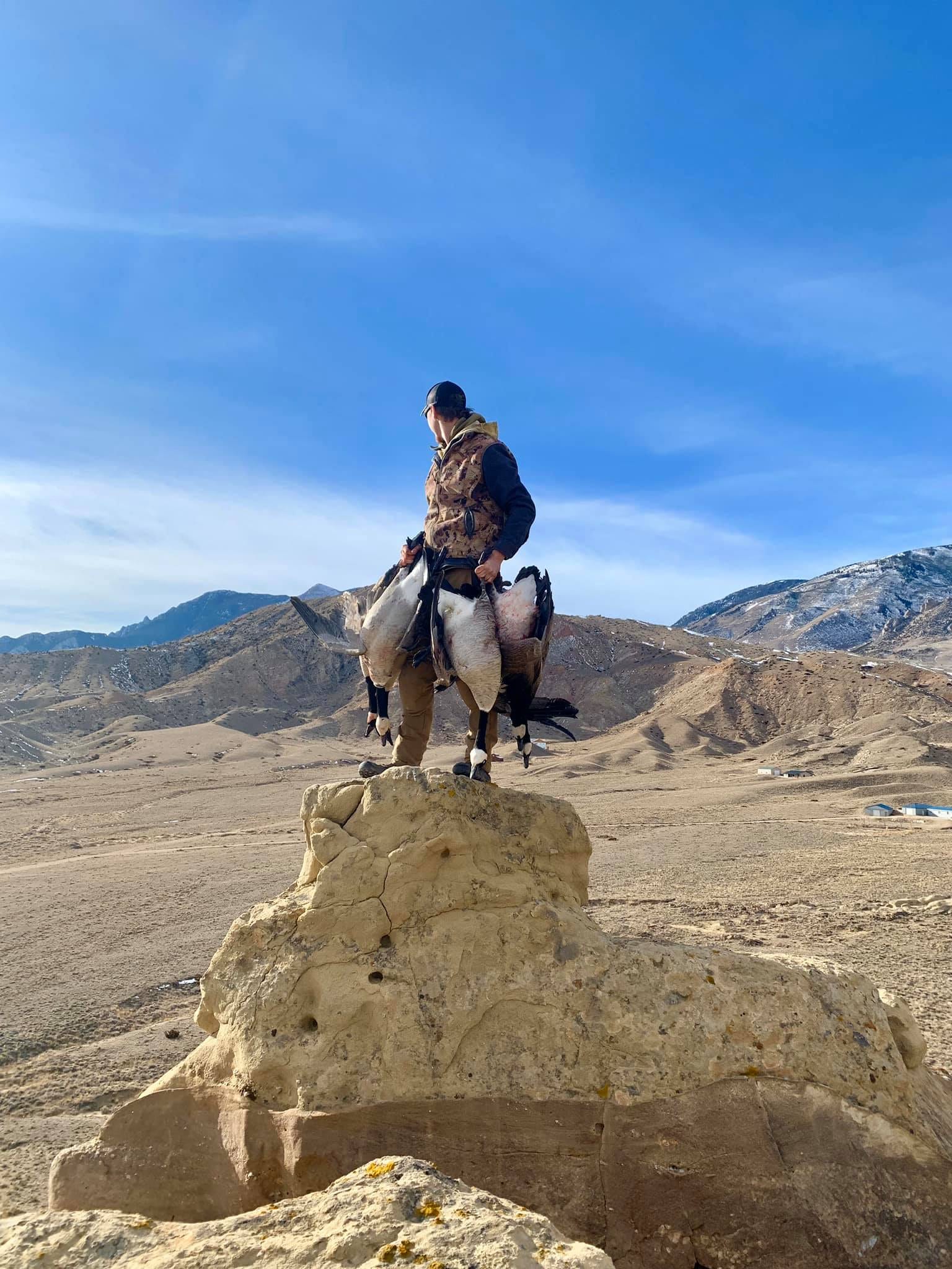goose hunting western