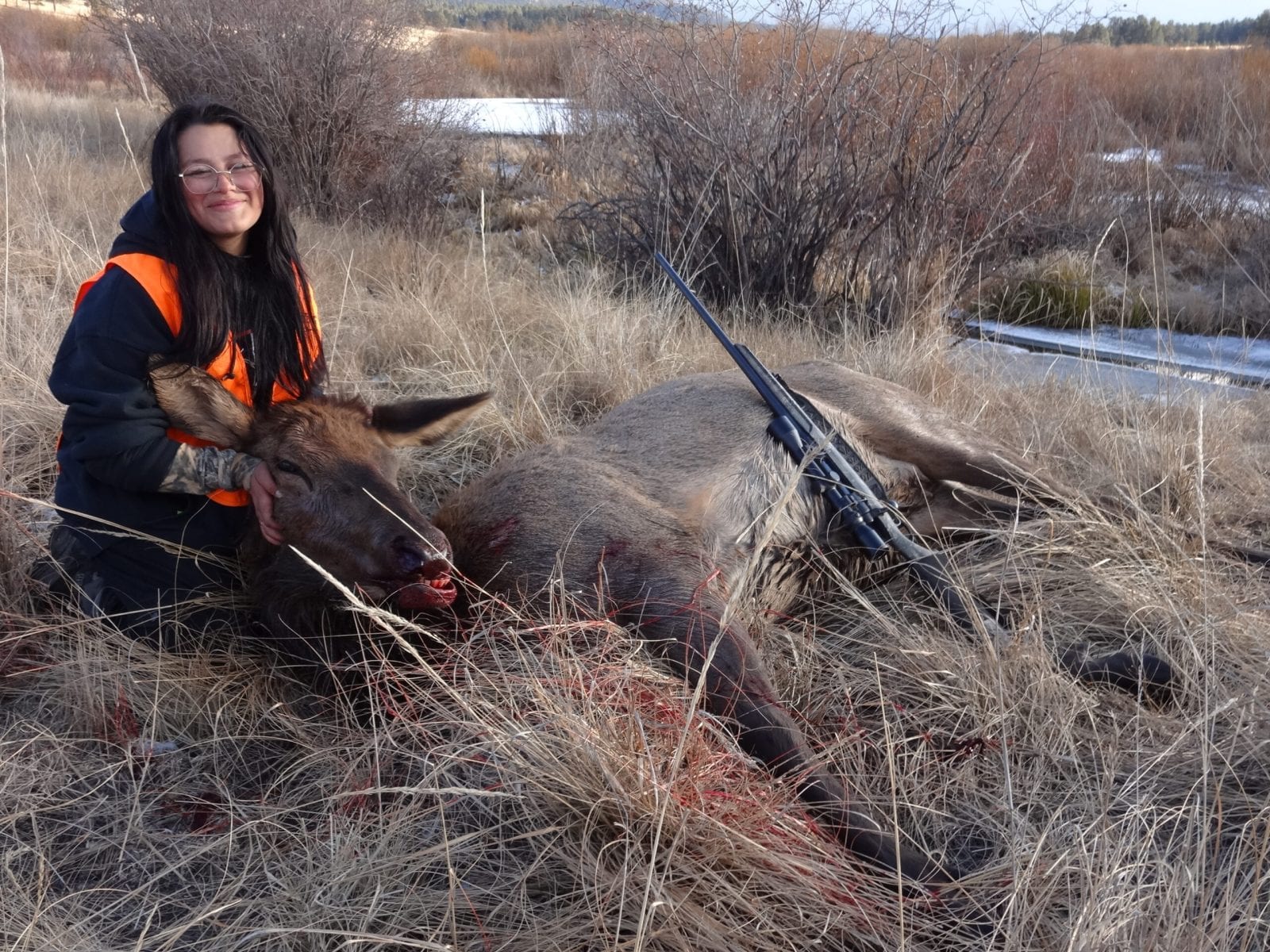A woman in an orange vest kneels next to a harvested elk in a grassy field.