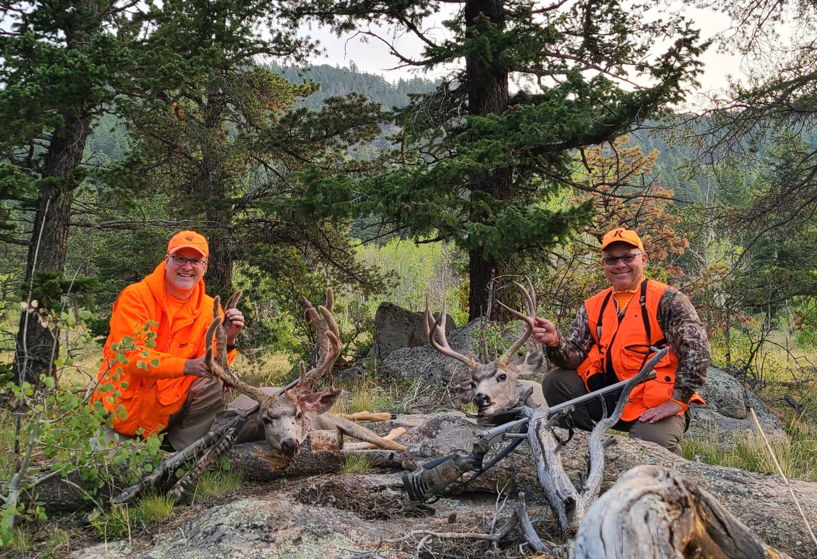 Two hunters in orange vests pose with two harvested mule deer in a forest setting.