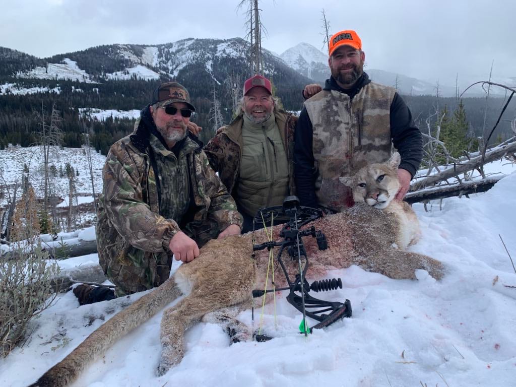 winter mountain lion hunting