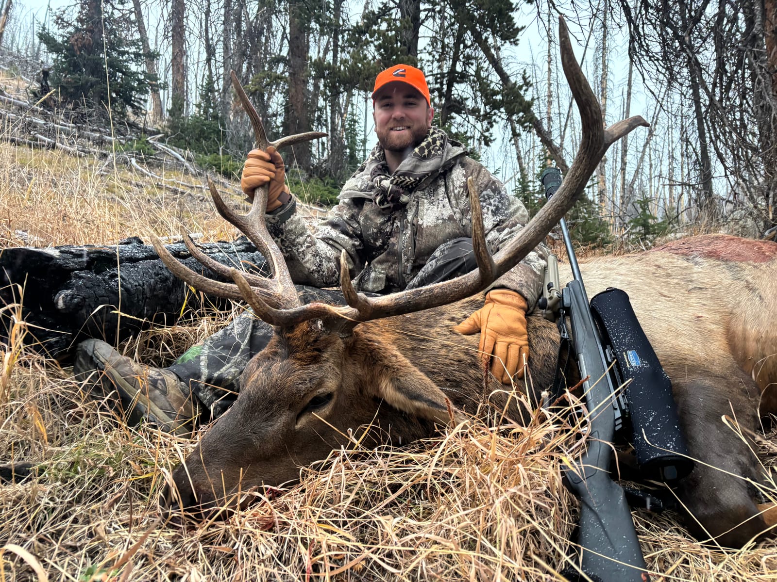 A hunter in camouflage and an orange hat poses with a harvested elk and a rifle in a forest.