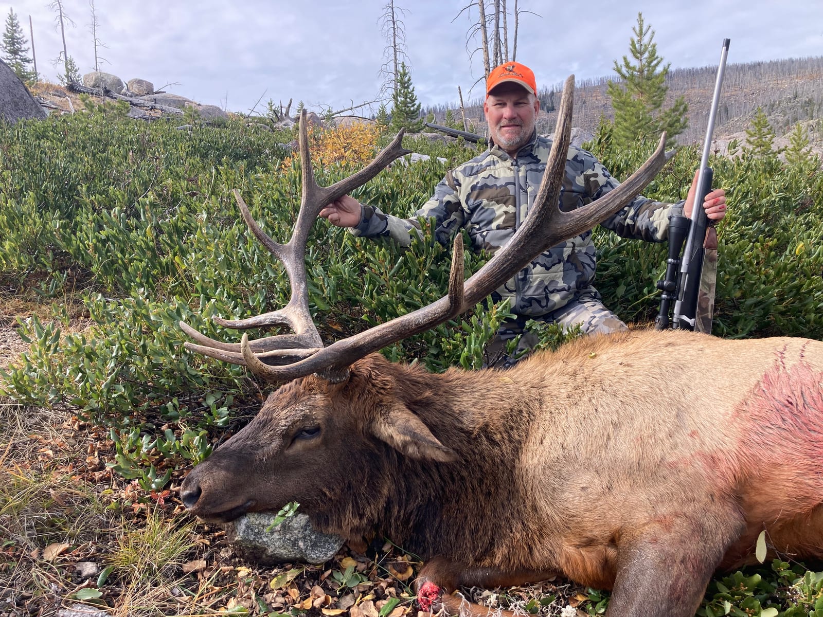 A hunter poses with a harvested elk in a field.
