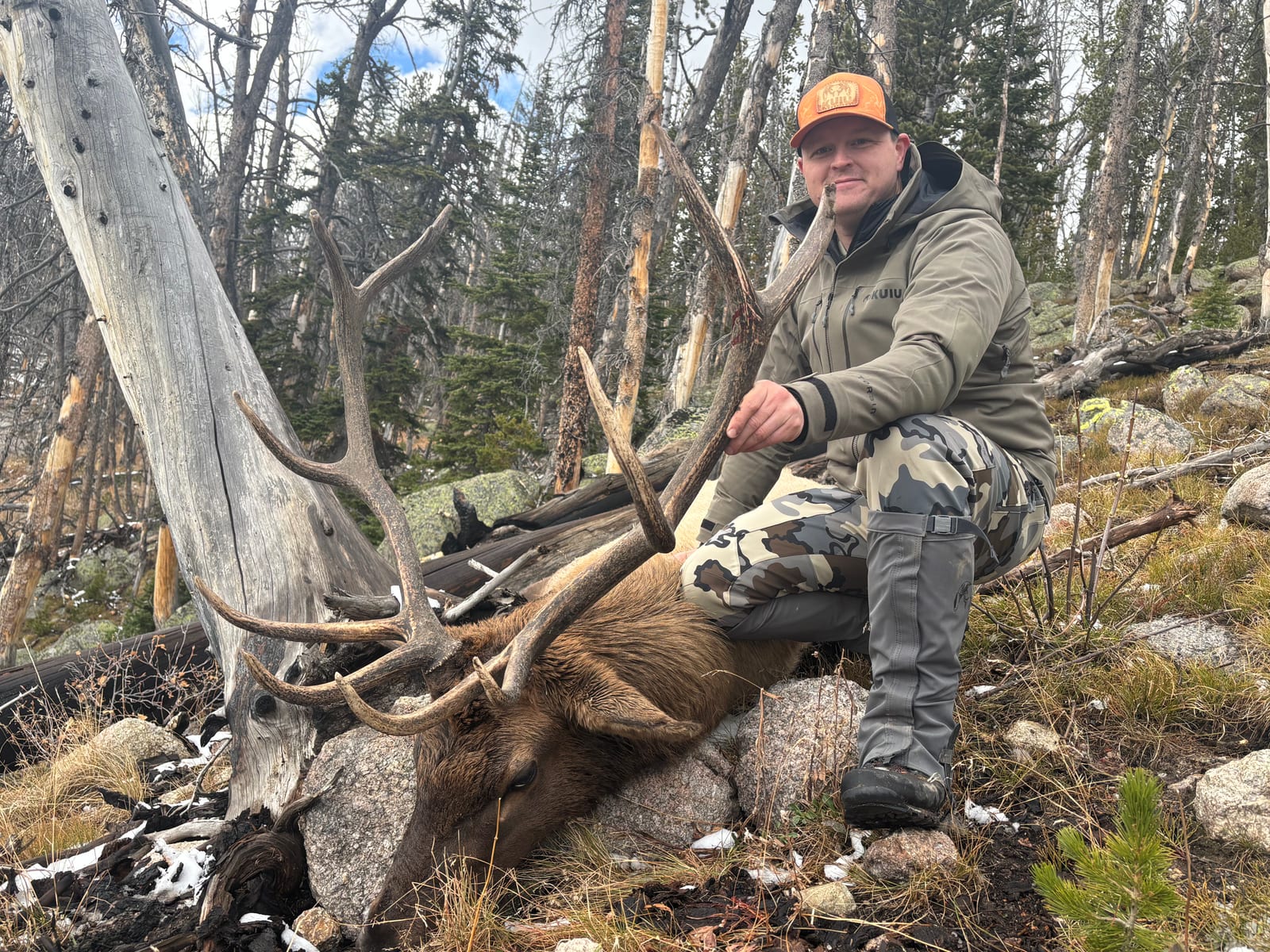 A hunter in camouflage clothing and an orange hat poses with a harvested elk in a forest setting.