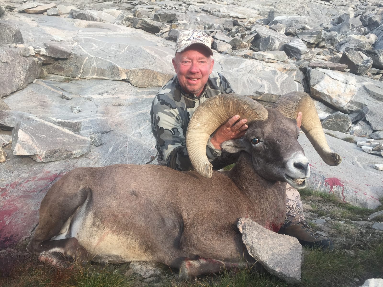 A hunter poses with a harvested bighorn sheep on a rocky terrain.