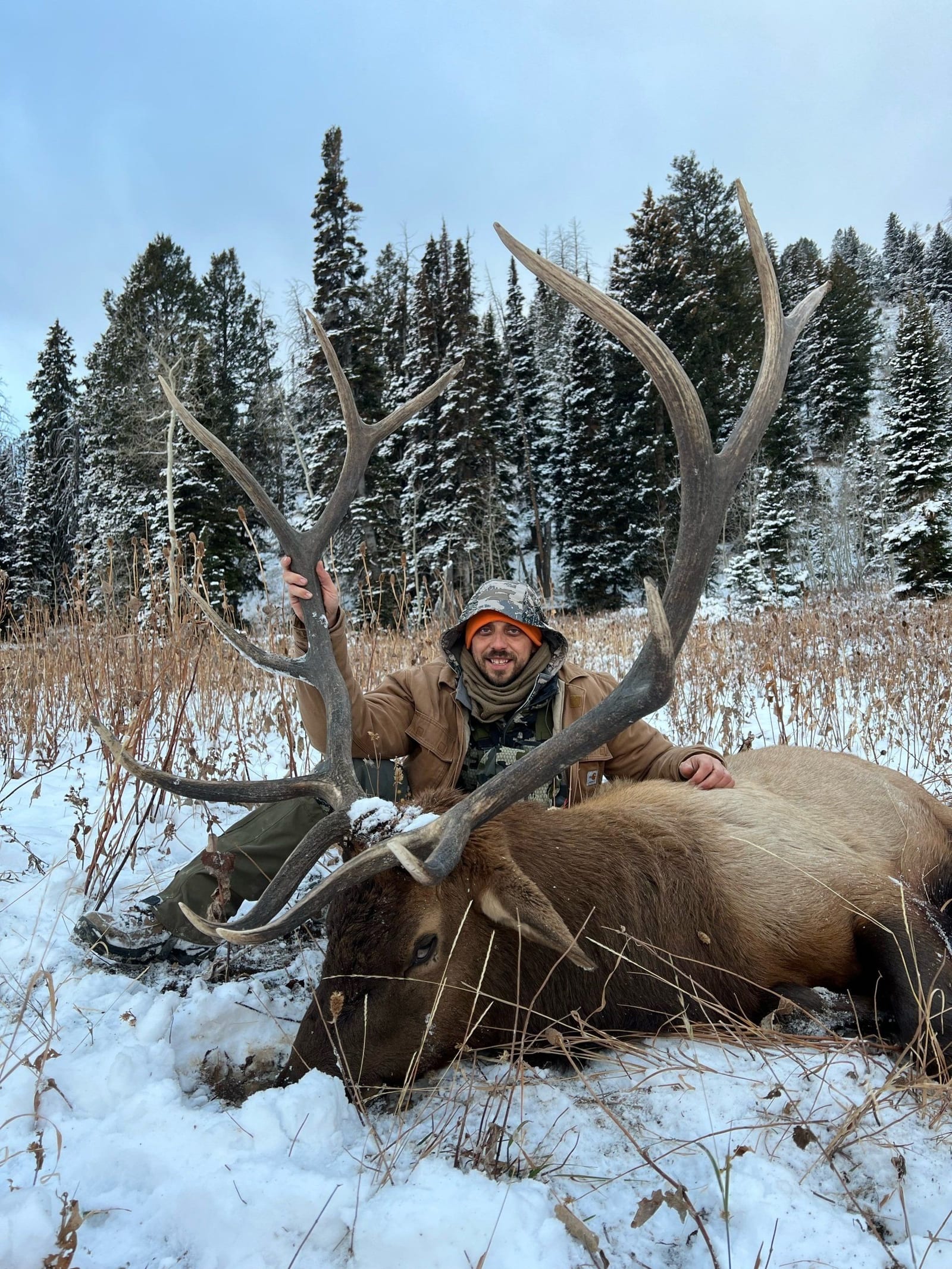 A hunter poses with a harvested elk in a snowy, forested landscape.