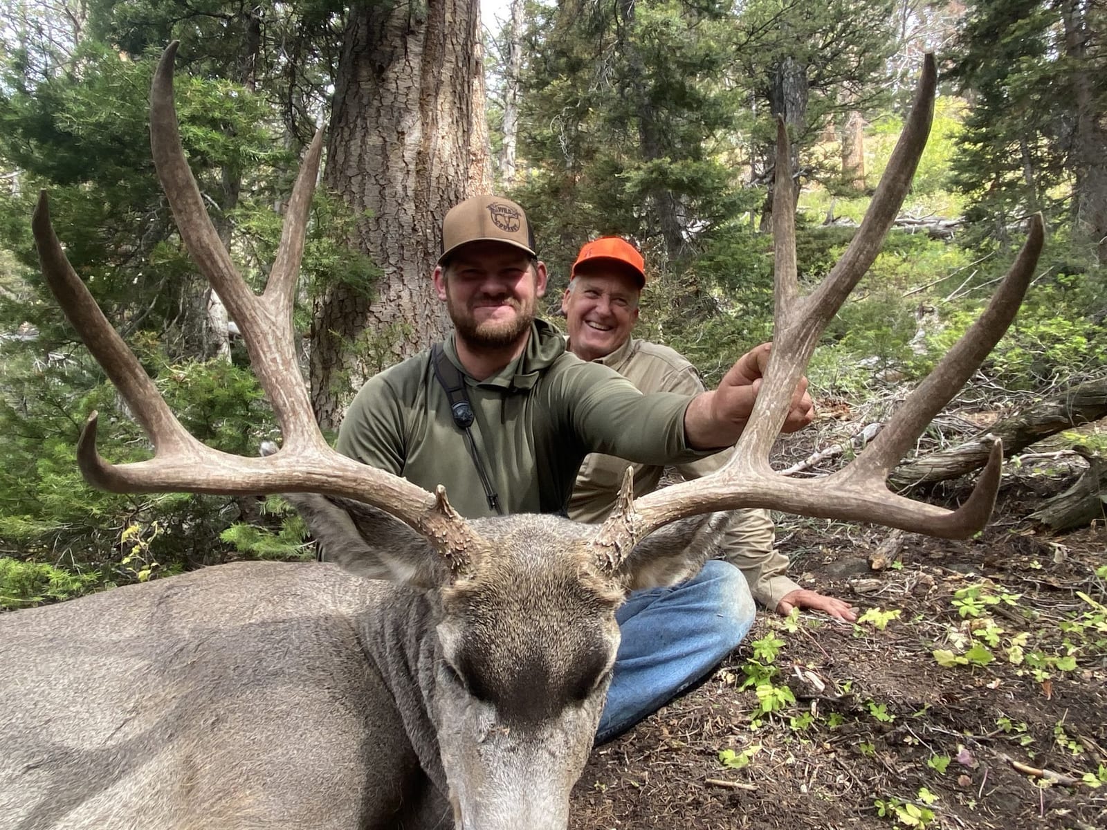 Two hunters pose with a harvested mule deer in a forest.