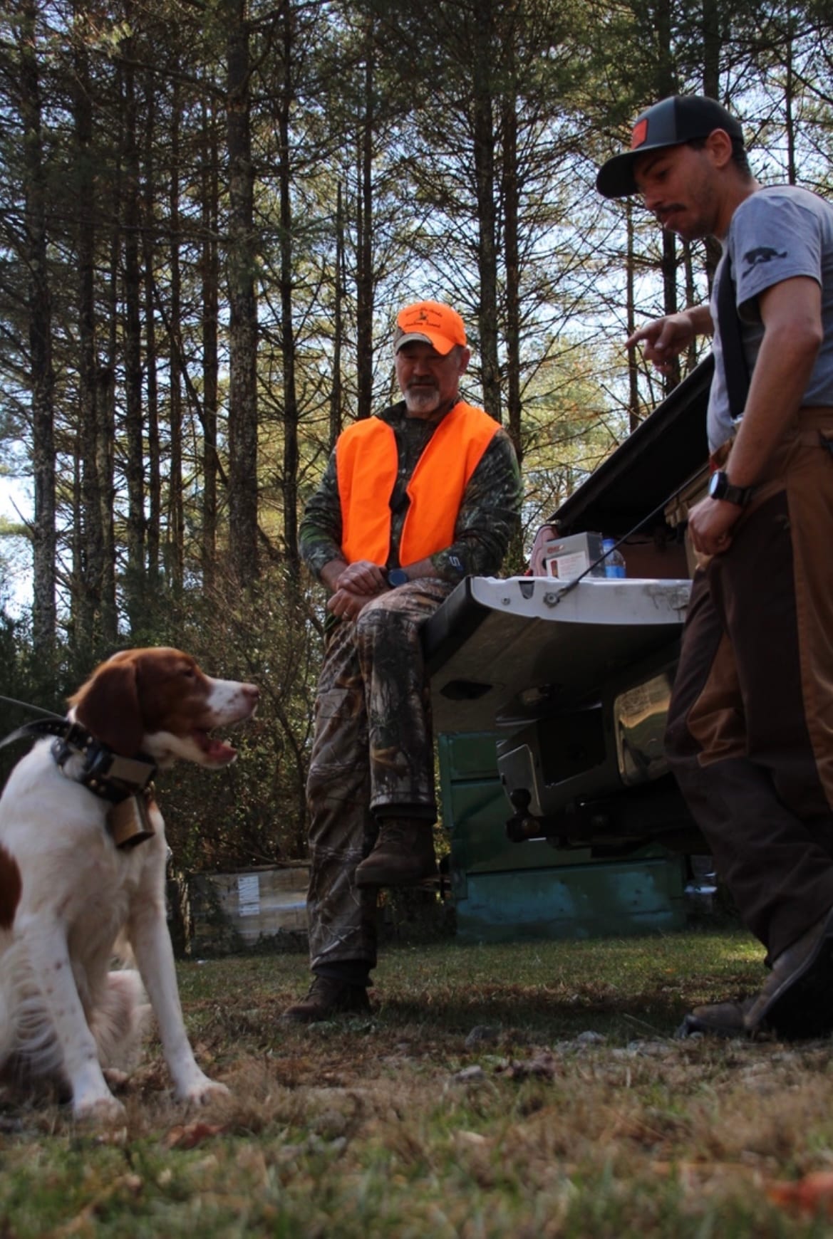 Two men and a hunting dog are in a wooded area, with one man sitting on a truck tailgate.