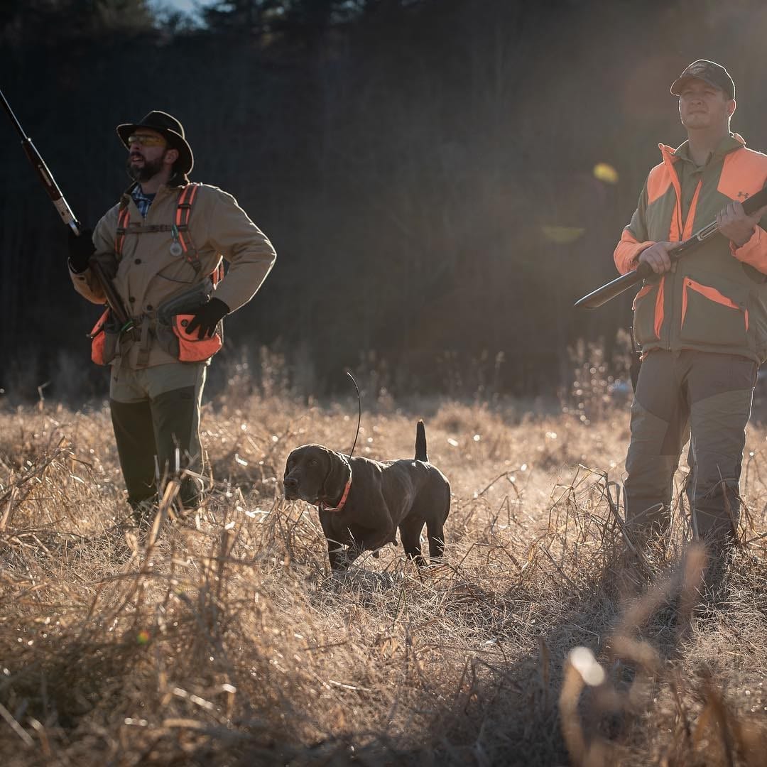 Two hunters and a dog stand in a sunny field.